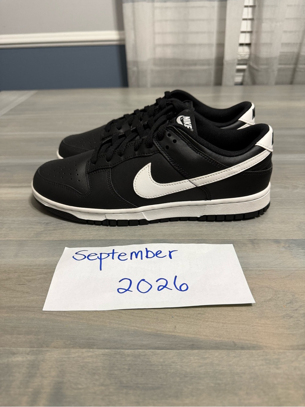 Men’s Nike Dunk